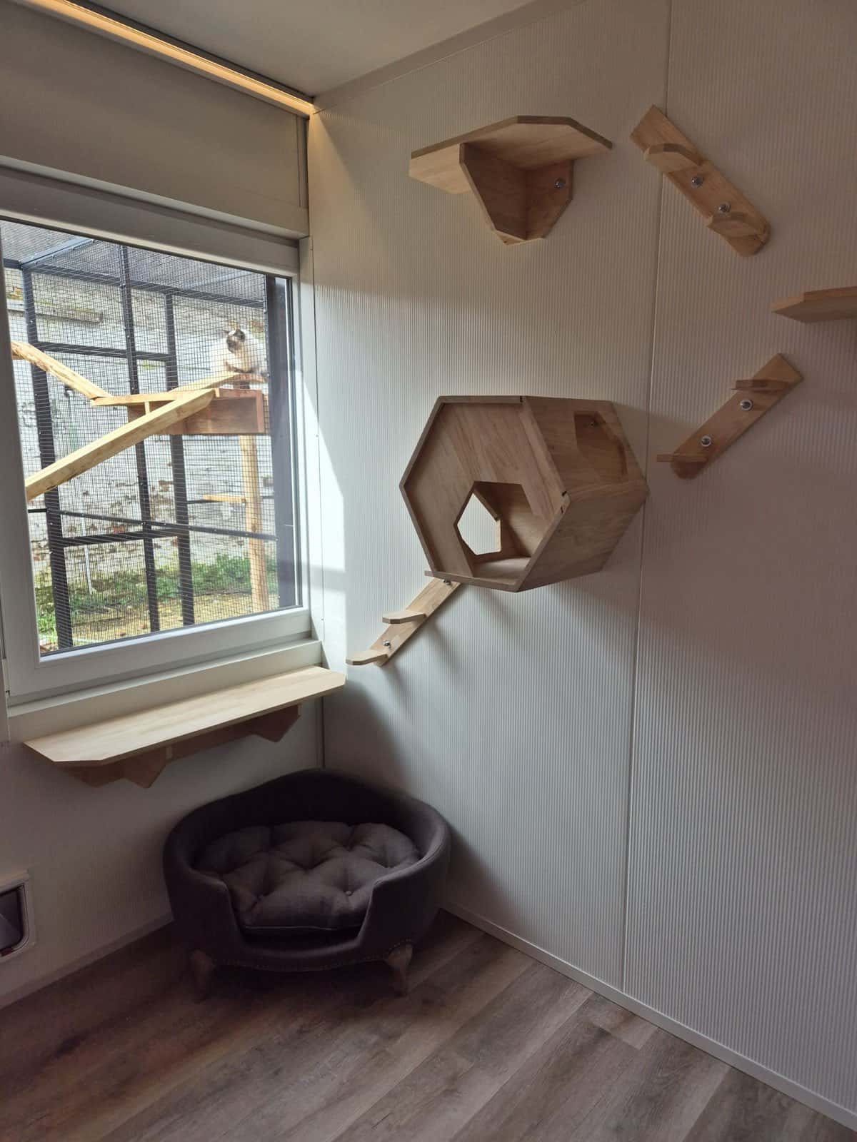 Verblijf met klimplanken, een wandhuisje en een zacht mandje bij het raam