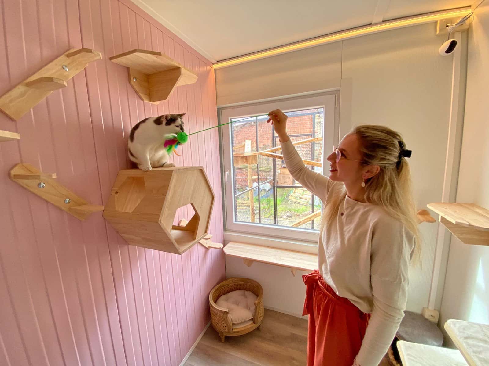 Een kat speelt in een van de suites