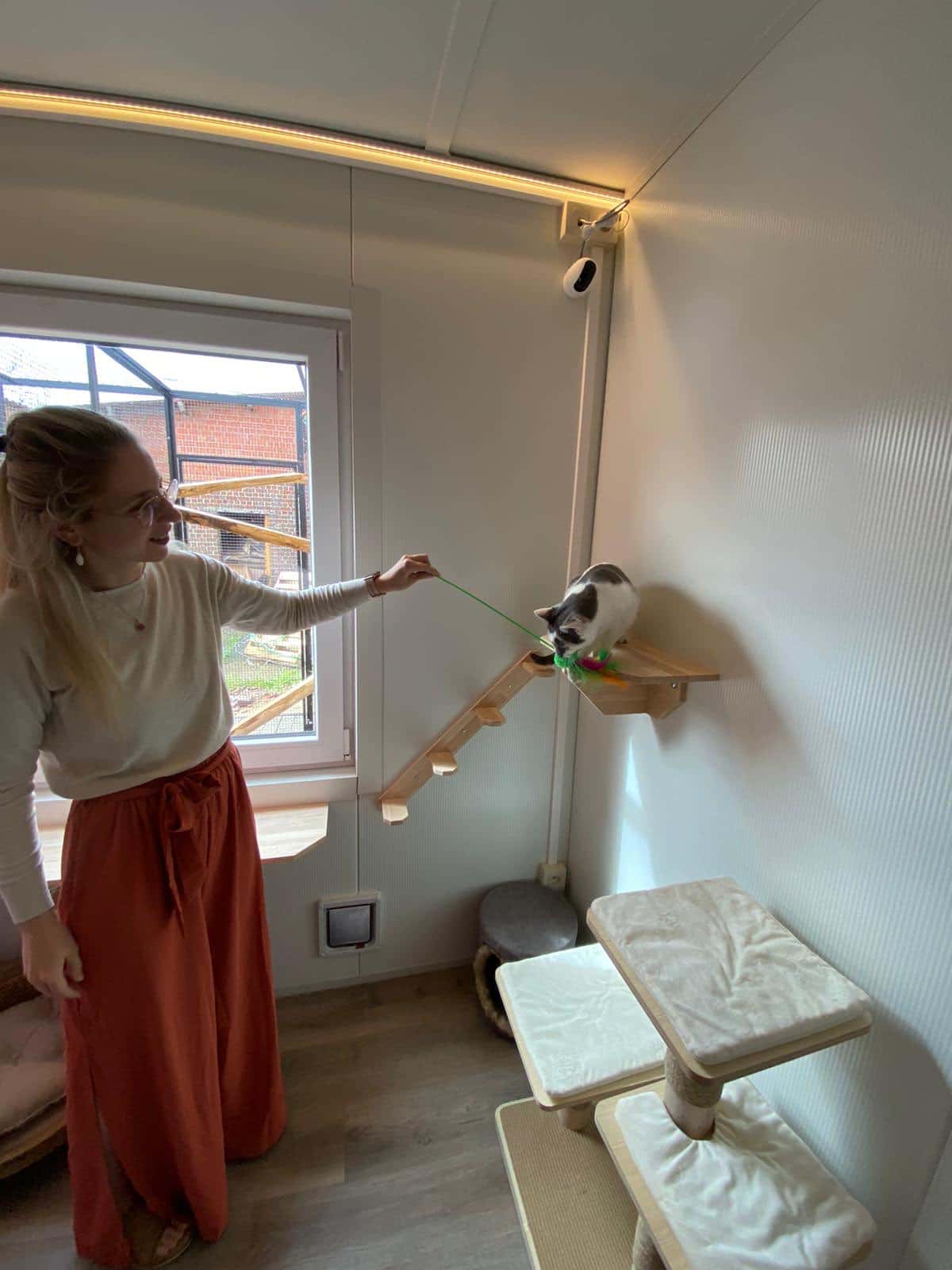 Er wordt met een kat gespeeld in haar verblijf, met krabpaal en wandplanken
