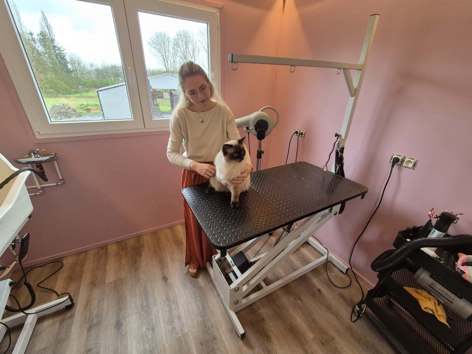 Pascha verzorgt een kat aan de trimtafel